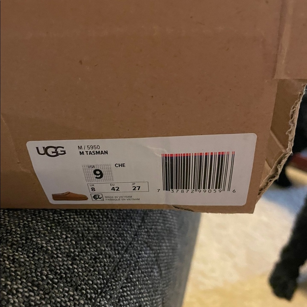 UGG slippers